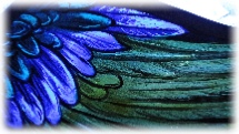 glass painting by stained glass artist Jude tarrant